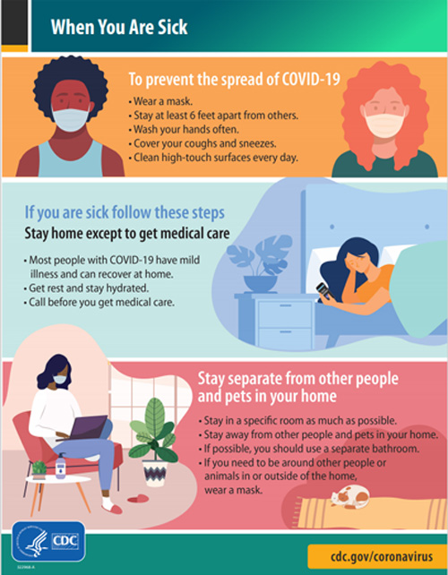 You are currently viewing What to do if you are sick